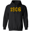 Alpha Phi Alpha Fraternity Hoodie