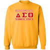 Delta Sigma Theta Sweatshirt Paraphernalia Screen Printed Unisex