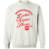 Delta Sigma Theta Sweatshirt Paraphernalia Screen Printed Unisex
