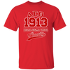 Delta Sigma Theta T-Shirt Paraphernalia Screen Printed Unisex