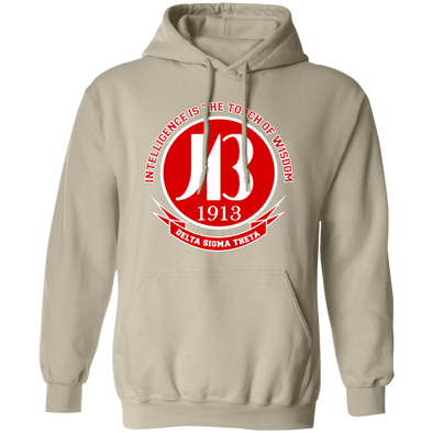 Delta Sigma Theta Hoodie Paraphernalia Screen Printed Unisex