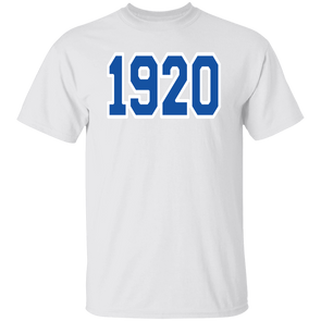 Zeta Phi Beta Sorority T-Shirt