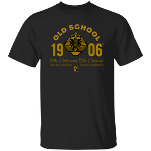 Alpha Phi Alpha Black Ice Collection T-Shirt Ed. 3 - My Greek Letters