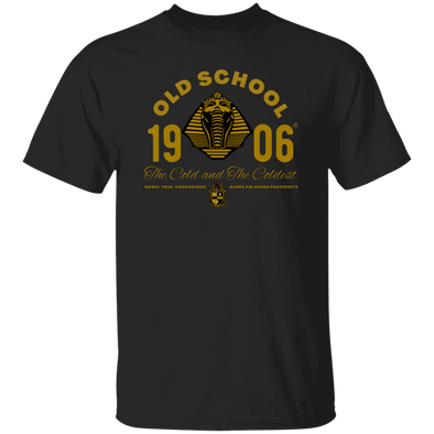 Alpha Phi Alpha Black Ice Collection T-Shirt Ed. 3 - My Greek Letters