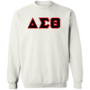 Delta Sigma Theta Sweatshirt Paraphernalia Screen Printed Unisex