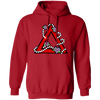 Delta Sigma Theta Hoodie Paraphernalia Screen Printed Unisex