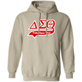 Delta Sigma Theta Hoodie Paraphernalia Screen Printed Unisex