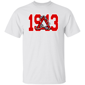 Delta Sigma Theta T-Shirt Paraphernalia Screen Printed Unisex