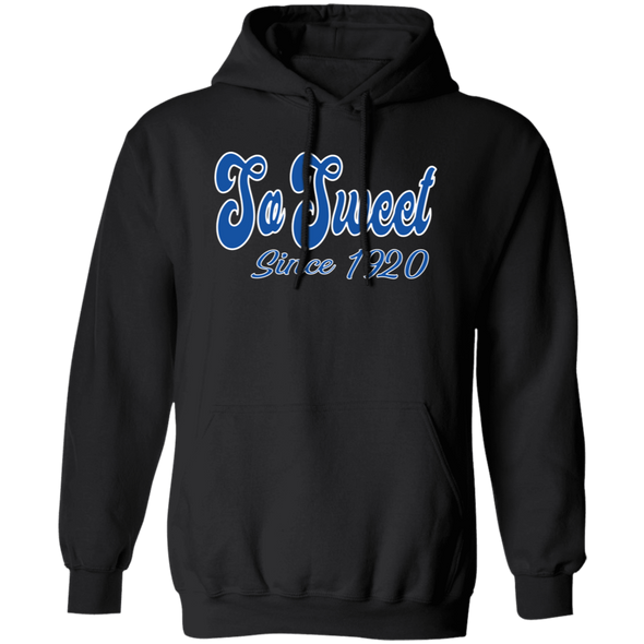 Zeta Phi Beta Sorority Hoodie