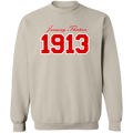 Delta Sigma Theta Sweatshirt Paraphernalia Screen Printed Unisex