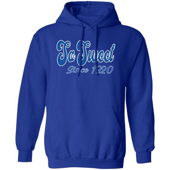 Zeta Phi Beta Sorority Hoodie