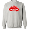 Delta Sigma Theta Sweatshirt Paraphernalia Screen Printed Unisex