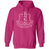 Alpha Kappa Alpha Pullover Hoodie