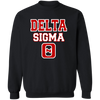 Delta Sigma Theta Sweatshirt Paraphernalia Screen Printed Unisex