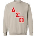 Delta Sigma Theta Sweatshirt Paraphernalia Screen Printed Unisex
