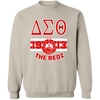 Delta Sigma Theta Sweatshirt Paraphernalia Screen Printed Unisex