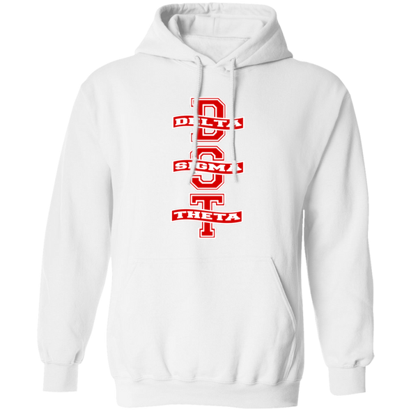 Delta Sigma Theta Hoodie Paraphernalia Screen Printed Unisex