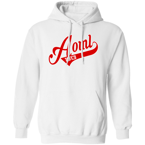 Delta Sigma Theta Hoodie Paraphernalia Screen Printed Unisex