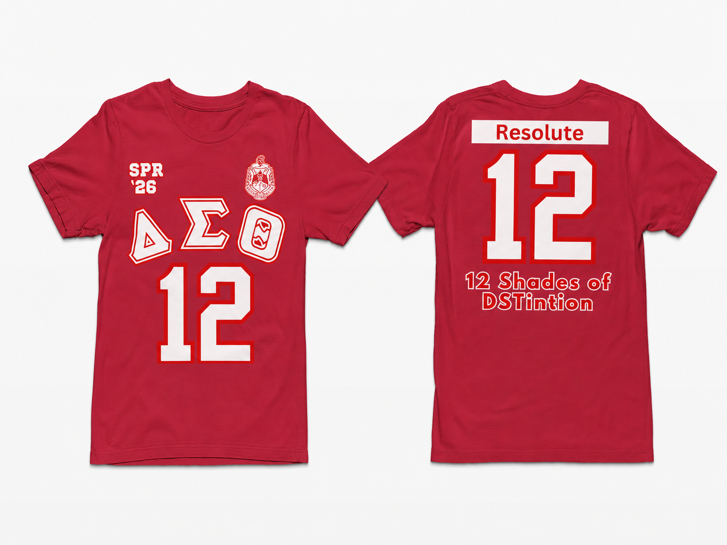 DELTA SIGMA THETA CUSTOM GREEK LINE T SHIRT