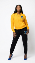 Sgrho Premium Embroidered Two Tone Hoodie & Sweatpants Set