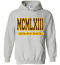 Iota Phi Theta Long Hoodie Ed. 10 - My Greek Letters