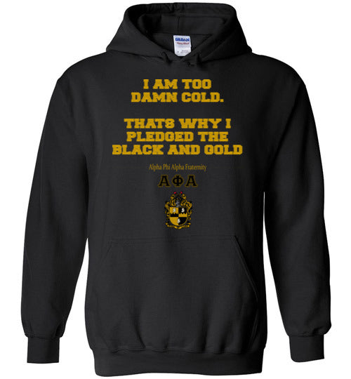Alpha Phi Alpha Hoodie Ed. 18 - My Greek Letters