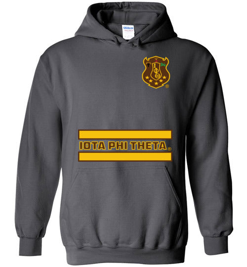 Iota Phi Theta Long Hoodie Ed. 7 - My Greek Letters