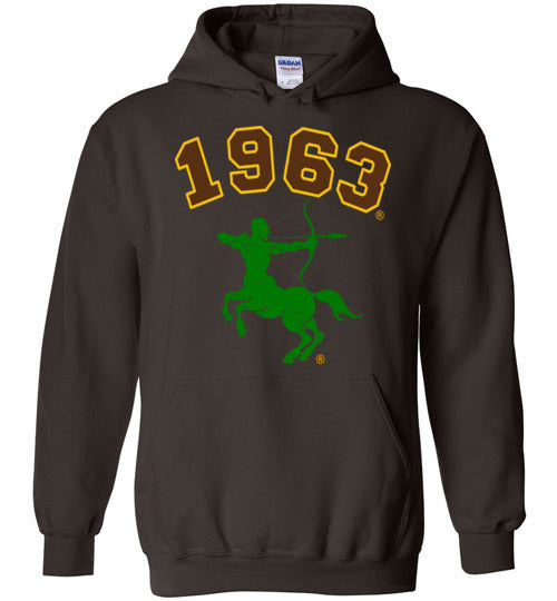 Iota Phi Theta Long Hoodie Ed. 2 - My Greek Letters