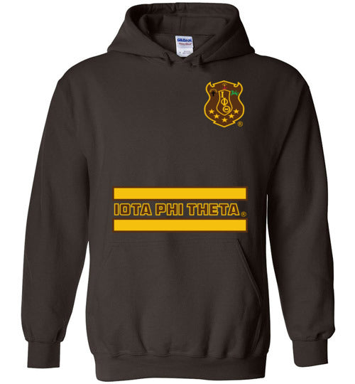 Iota Phi Theta Long Hoodie Ed. 7 - My Greek Letters