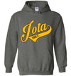 Iota Phi Theta Long Hoodie Ed. 3 - My Greek Letters