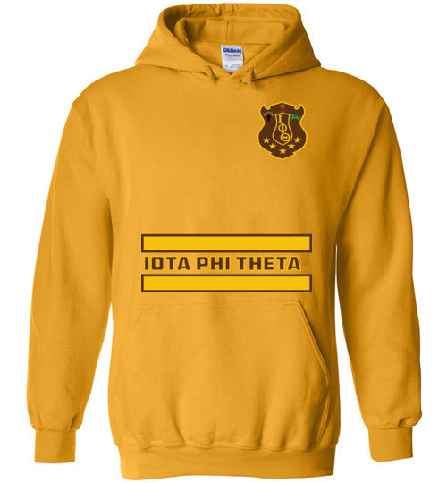 Iota Phi Theta Long Hoodie Ed. 7 - My Greek Letters