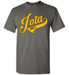 Iota Phi Theta T-Shirt Ed. 3 - My Greek Letters