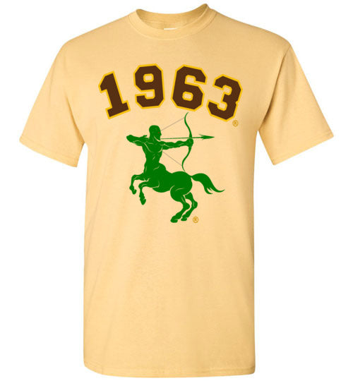 Iota Phi Theta T-Shirt Ed. 2 - My Greek Letters