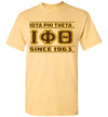 Iota Phi Theta T-Shirt Ed. 13 - My Greek Letters