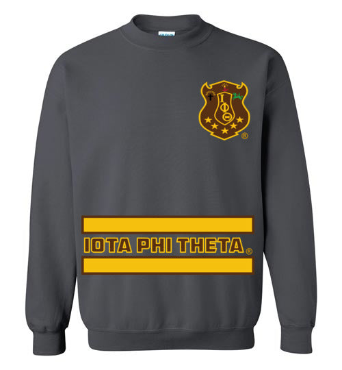 Iota Phi Theta Long Sweatshirt Ed. 7 - My Greek Letters