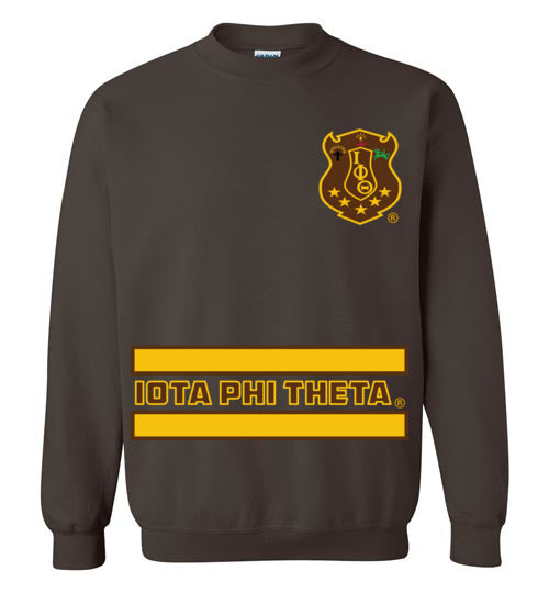 Iota Phi Theta Long Sweatshirt Ed. 7 - My Greek Letters