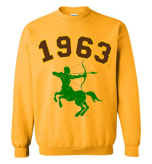 Iota Phi Theta Long Sweatshirt Ed. 2 - My Greek Letters
