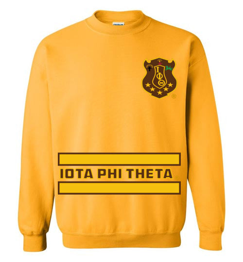 Iota Phi Theta Long Sweatshirt Ed. 7 - My Greek Letters