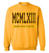 Iota Phi Theta Long Sweatshirt Ed. 10 - My Greek Letters