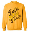 Iota Phi Theta Long Sweatshirt Ed. 14 - My Greek Letters