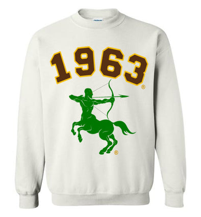 Iota Phi Theta Long Sweatshirt Ed. 2 - My Greek Letters