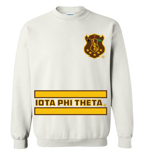 Iota Phi Theta Long Sweatshirt Ed. 7 - My Greek Letters