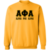 Alpha Phi Alpha Fraternity Sweatshirt - My Greek Letters